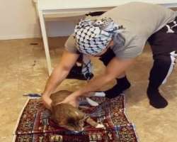 The star is an animal lover and has a cute cat in his home. He loves to play with the cat in his free time.